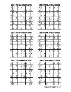 Sudoku Zeer Gemakkelijk 28