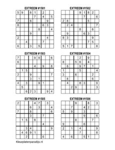 Sudoku Extreem 17