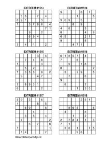 Sudoku Extreem 19