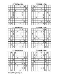 Sudoku Extreem 31
