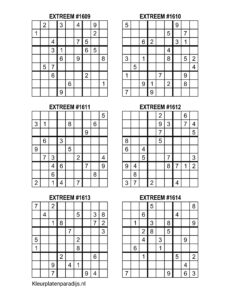 Sudoku Extreem 35