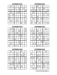 Sudoku Extreem 42