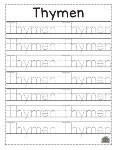 Werkblad schrijven oefenen voor kinderen met het woord Thymen om te traceren