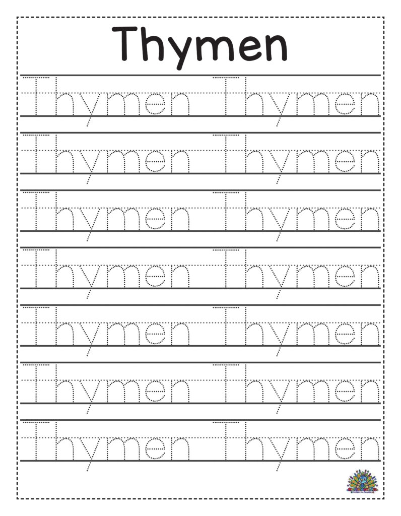 Werkblad schrijven oefenen voor kinderen met het woord Thymen om te traceren