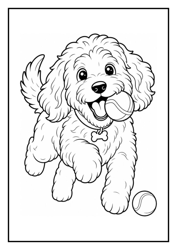 Vrolijke kleurplaat van een labradoodle die een tennisbal apporteert