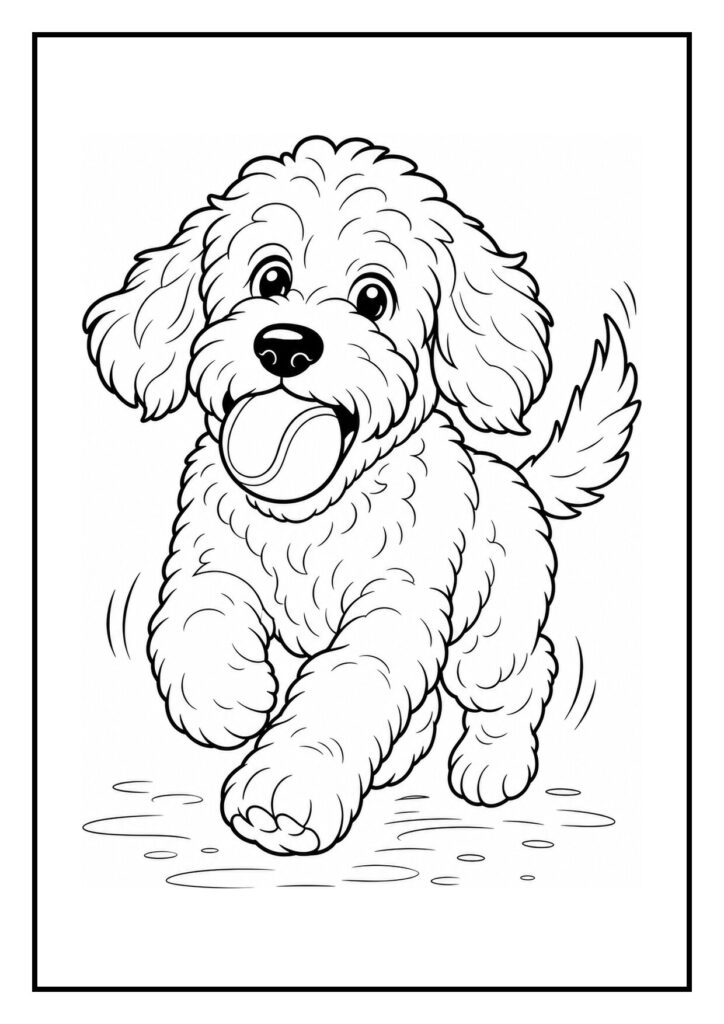 Kleurplaat van een vrolijke schattige labradoodle die een bal vasthoudt en een bot zoekt