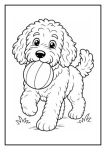Kleurplaat van een schattige Labradoodle hond die speels achter bellen aan rent met een bal in de buurt