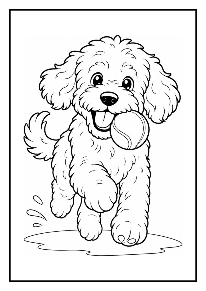 Kleurplaat van een vrolijke labradoodle met een bal in zijn bek die in een mand loopt