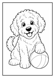 Vrolijke labradoodle die een bal vasthoudt en naar een vliegende vlinder kijkt