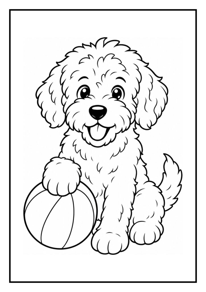 Kleurplaat van een schattige labradoodle die vrolijk met een bal speelt bij een regenboogpuddle