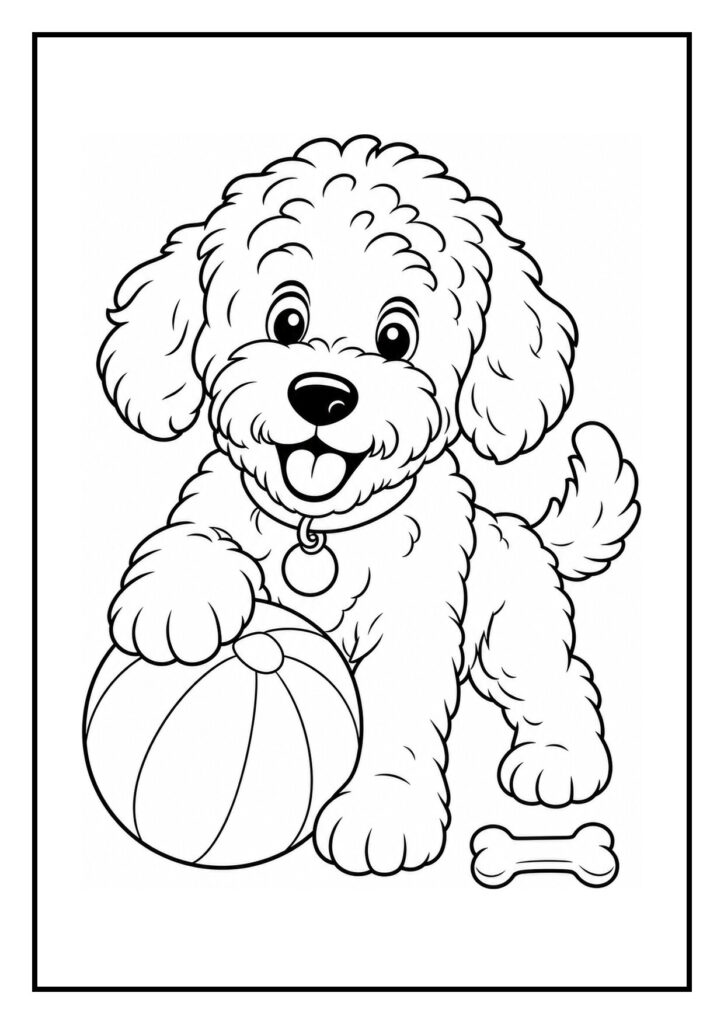 Kleurplaat van een vrolijke Labradoodle die uit een bolderkar kijkt met een bal en een botje naast zich