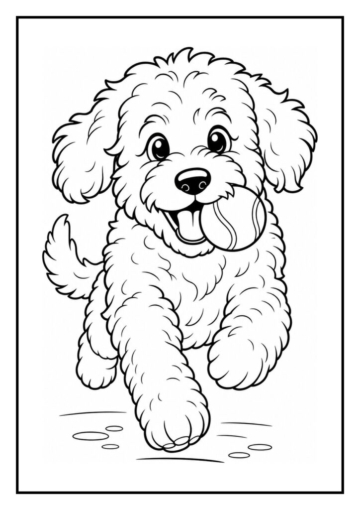 Vrolijke Labradoodle die een speelbal uit de grasbosjes verjaagt