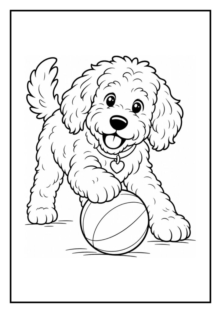 Kleurplaat van een vrolijke labradoodle die speels met een bal naar een cadeautje zoekt