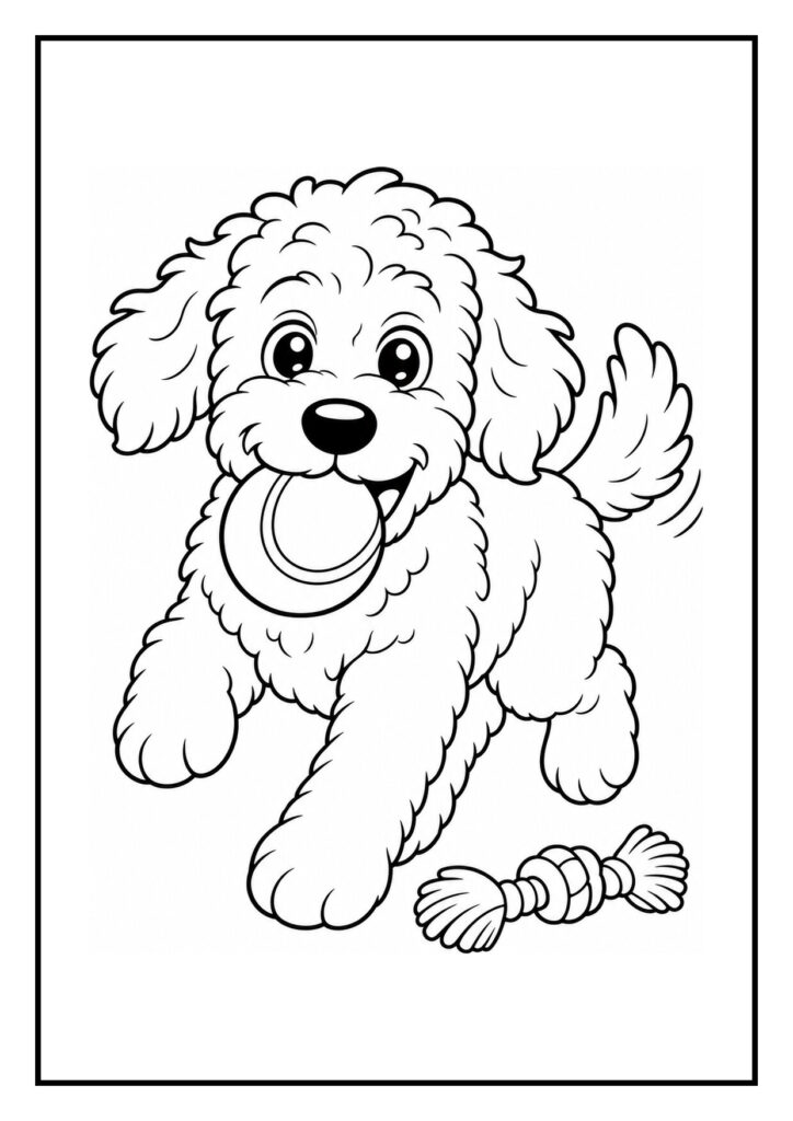 Kleurplaat van een Labradoodle die een knuffel krijgt van een kind, met een bal in zijn mond en een vrolijke uitstraling.