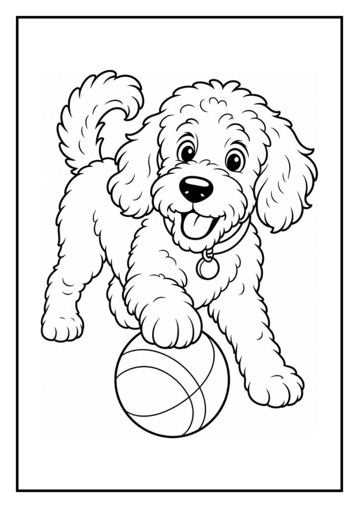 Kleurplaat van een schattige labradoodle hond die speels door een hoepel springt met bal