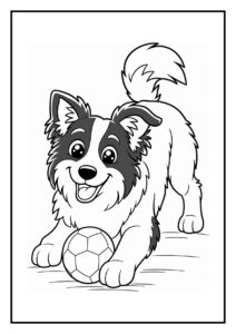 Kleurplaat van een Border Collie hond die een traktatenspoor volgt met een bal in een vrolijke setting.