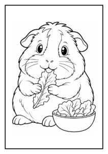 Kleurplaat van een schattige Peruaanse cavia die een sla blaadje eet in een badkamermand